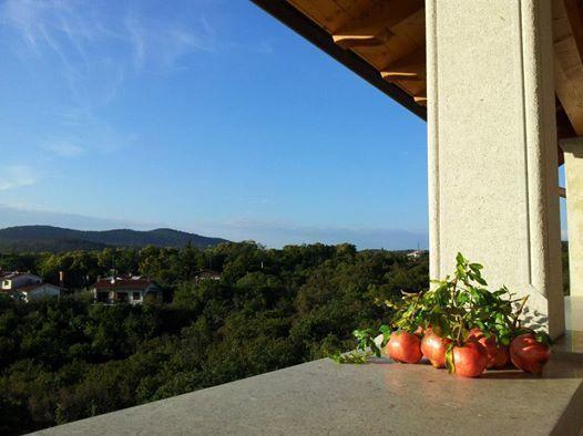 Residence Oliveto Mare Carso Sistiana Exterior photo